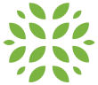 Bio Cure Health